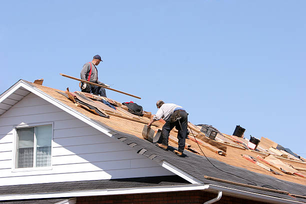 Best Roof Moss and Algae Removal  in Newton, NC