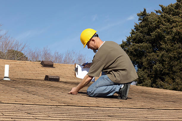 Best Roof Maintenance and Cleaning  in Newton, NC