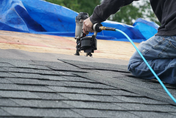 Best Roof Ventilation Installation  in Newton, NC